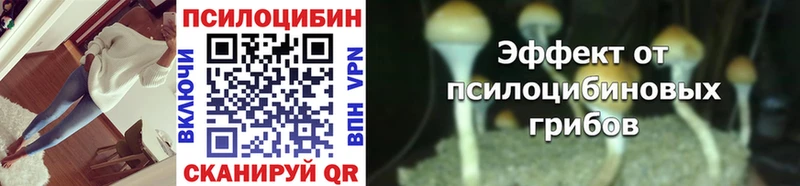 Галлюциногенные грибы Psilocybe Калязин